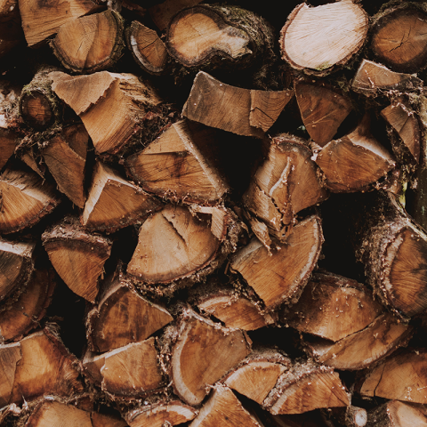 Création filière Bois Wallonie OEWB RND