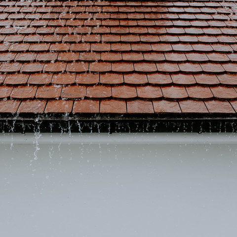 Et si vous installiez une citerne d’eau de pluie ? 